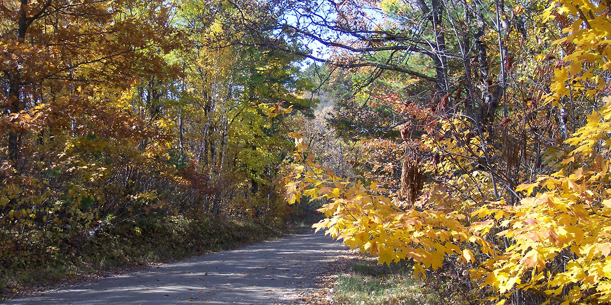 Road in Fall in Northern Minnesota