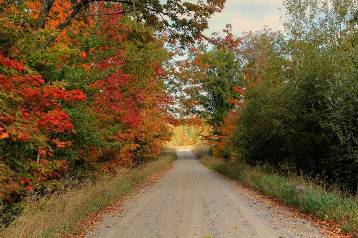 North Country Trail